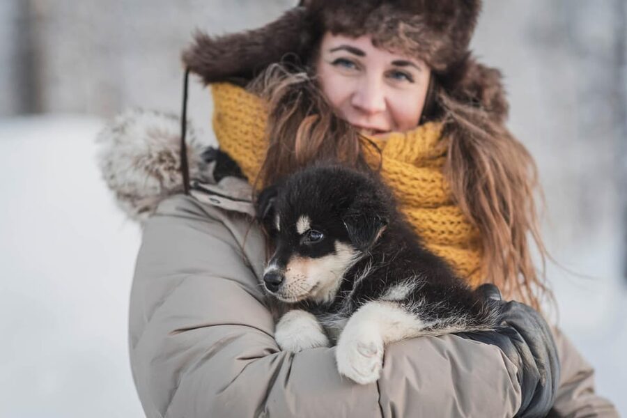 Levi: Horse and Husky Farm Visit with Juice and Cookies - Husky time: training, routine, and winter sled work