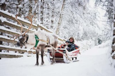 Levi: Husky and Reindeer Farm Tour with Sled Ride - Arriving at the Arctic Circle Snowmobile Park Area: What the Farm Visit Focuses On