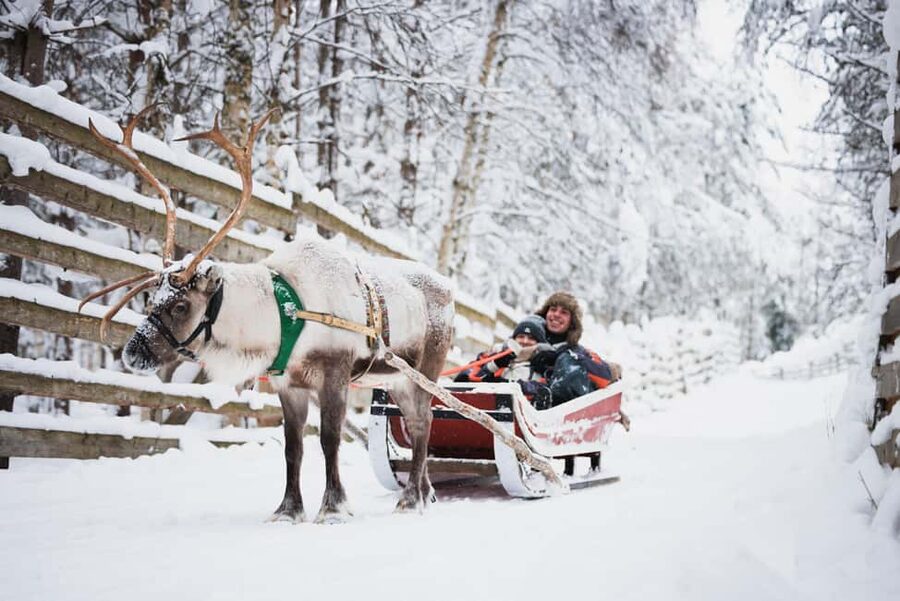 Levi: Husky and Reindeer Farm Tour with Sled Ride - Arriving at the Arctic Circle Snowmobile Park Area: What the Farm Visit Focuses On