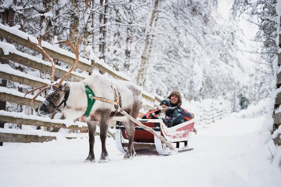 Levi: Husky and Reindeer Farm Visit with Snowmobiling - Reindeer farm: 500 meters, plus herders’ real-life stories