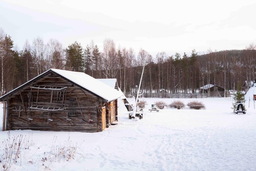 Levi: Reindeer Farm E-Fatbike Safari - The snowy ride: what you’ll see and why the route matters