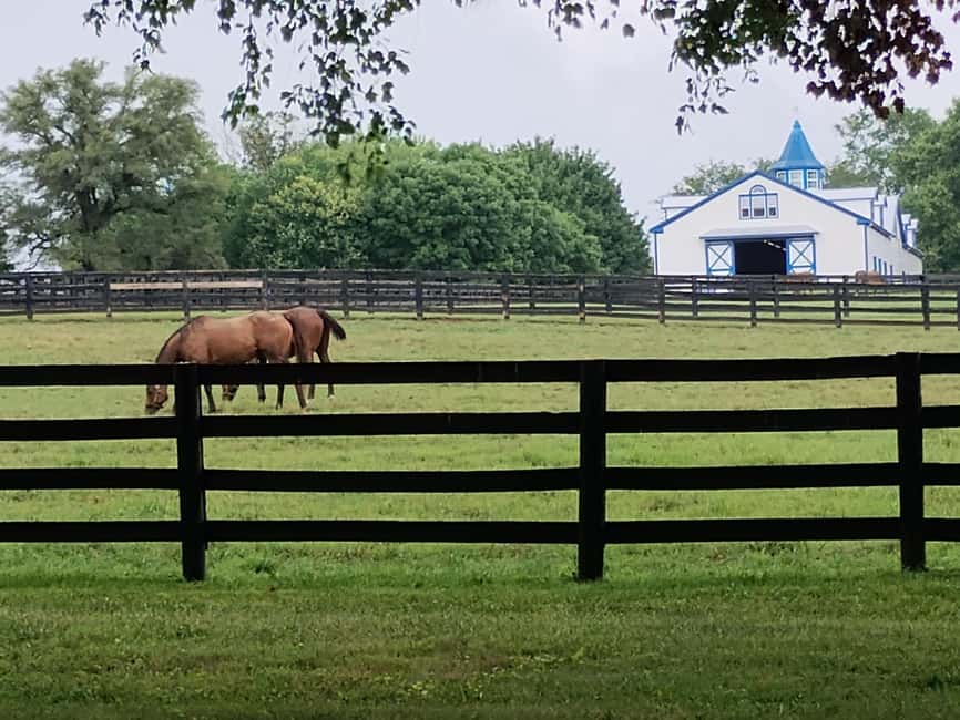 Lexington: Thoroughbred Horse Farm Tour and Scenic Bluegrass - Key Highlights You’ll Actually Care About