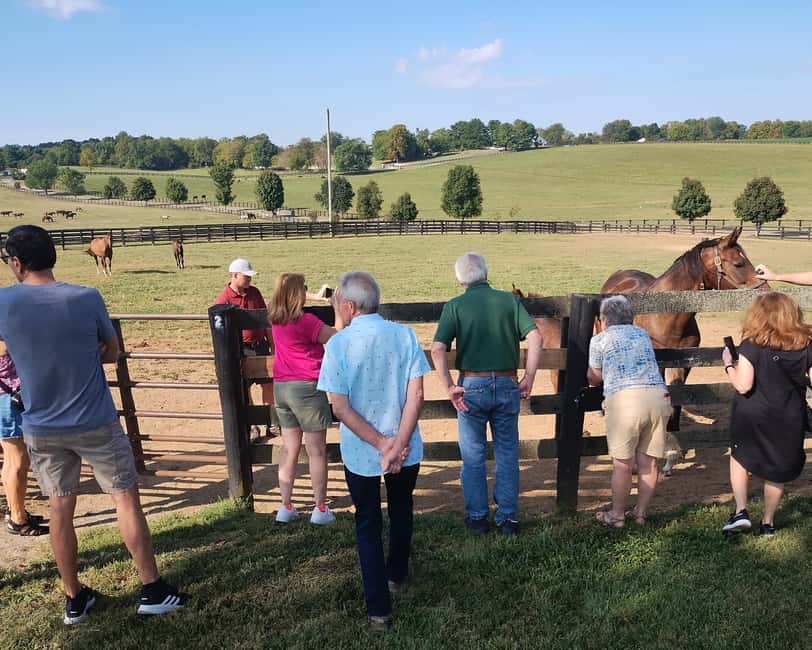 Lexington: Thoroughbred Horse Farm Tour and Scenic Bluegrass - Keeneland When It’s Available: Track Energy and Movie Filming Stops