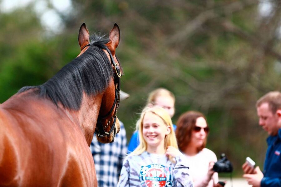 Lexington: Thoroughbred Horse Farm Tour and Scenic Bluegrass - Guides Who Turn “Horse Stuff” Into Real Stories