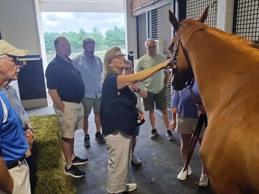 Lexington: Thoroughbred Horse Farm Tour and Scenic Bluegrass - How the Tour Handles Changes Day-to-Day (So You Don’t Feel Ripped Off)