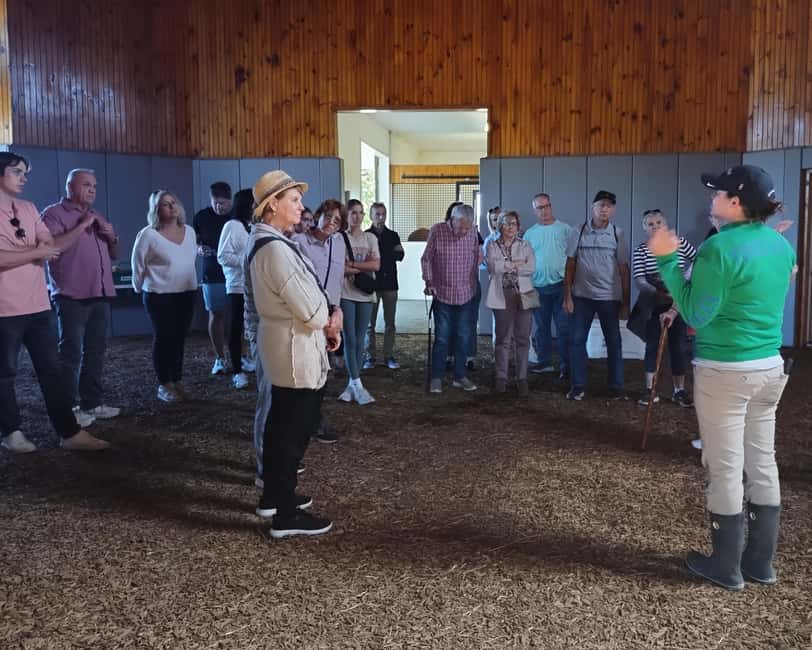 Lexington: Thoroughbred Horse Farm Tour and Scenic Bluegrass - Price and Value: What $42 Gets You