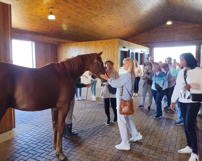 Lexington: Thoroughbred Horse Farm Tour and Scenic Bluegrass - The 14-Person Van Ride: Short, Smooth, and Full of Context