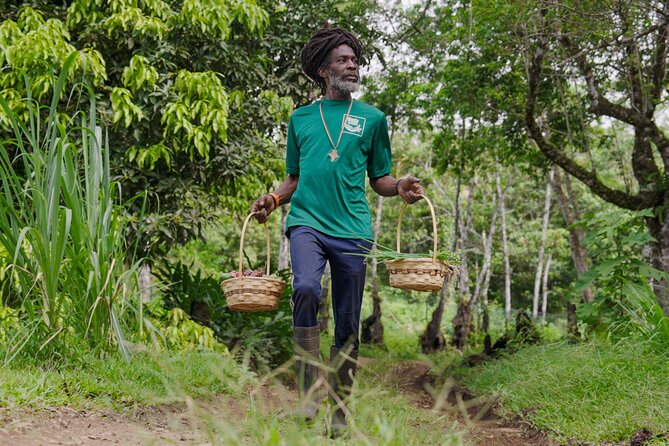 Liamuiga Natural Farm Tour - St.Kitts' Coffee Farm - Getting to the farm: Fraites and Sons Bakery is your anchor
