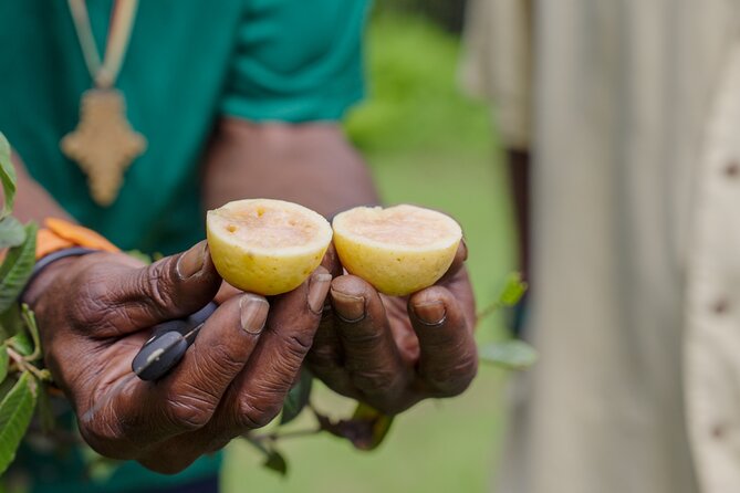 Liamuiga Natural Farm Tour - St.Kitts' Coffee Farm - Wandering scenic trails: what the walking feels like