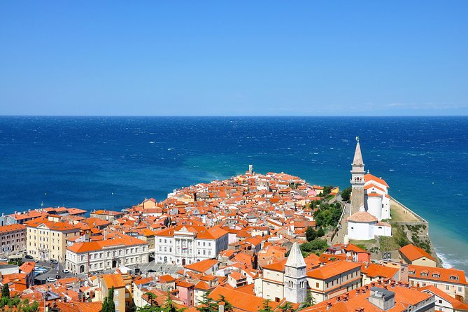 Lipica stud farm and Piran Tour from Ljubljana - Key highlights you’ll care about