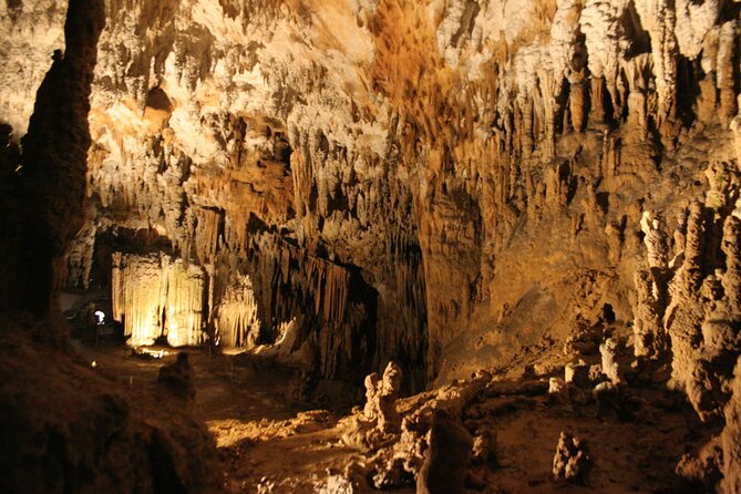 Lipica Stud Farm and Skocjan Caves from Koper - Logistics that matter: group size, language, and how to pace yourself