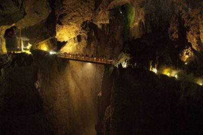 Lipica Stud Farm and Škocjan Caves from Trieste - Stables and Lipikum Museum: Where the Lipizzan story clicks