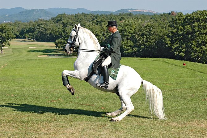 Lipica Stud Farm- Private Experience from Koper - Price and value: what you’re paying for (and who it makes sense for)