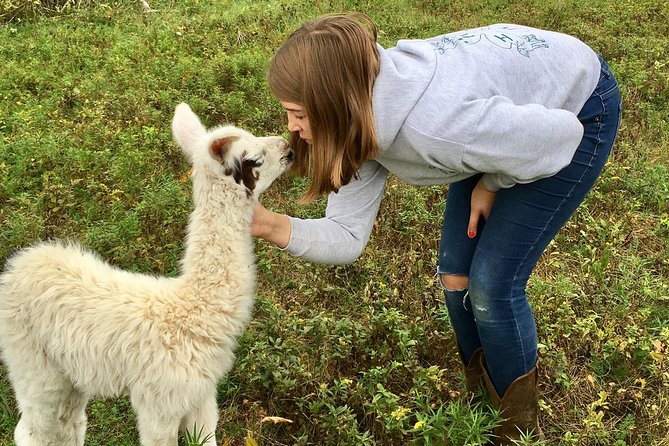 Llama/Alpaca Hike and Farm Tour - Key points to know before you go