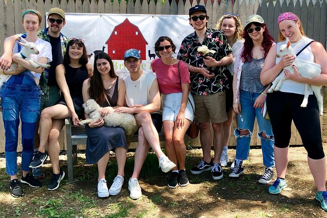 Llama/Alpaca Hike and Farm Tour - Who should book this (and who might skip it)