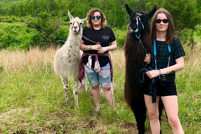 Llama/Alpaca Hike and Farm Tour - Practical tips that make the day smoother