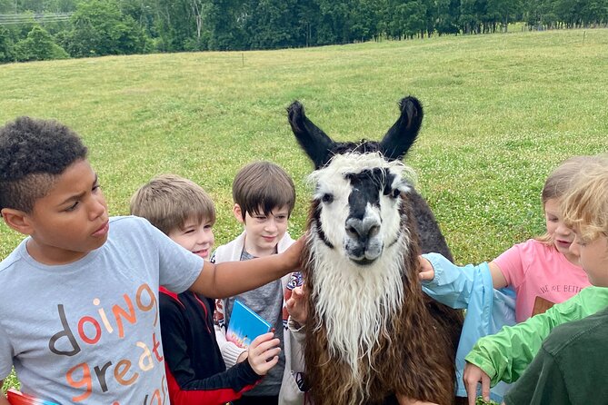 Llama/Alpaca Hike and Farm Tour - Timing and on-site logistics you should plan around