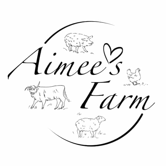 Lofoten (Stamsund and Leknes): Aimees Farm Experience - The 3-Hour Rhythm: Village Walk, Animal Time, Then Five Courses