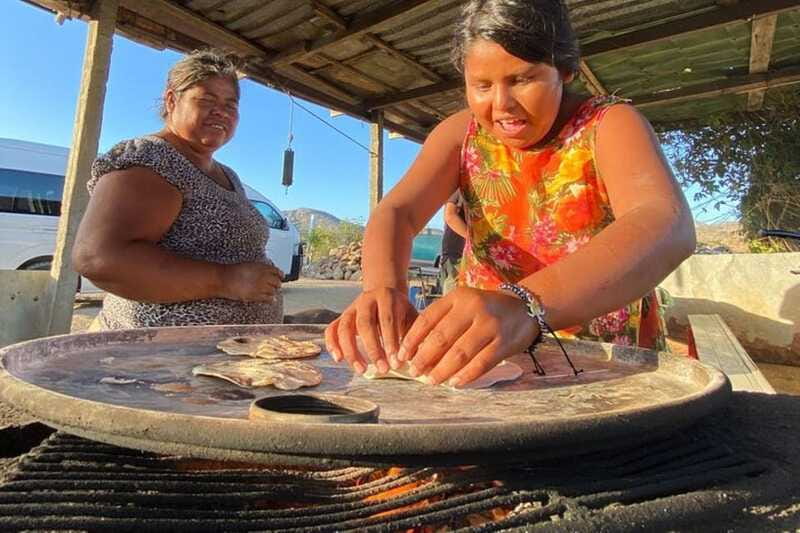 Los Cabos: Azteca Cactus Taco Farm to Table Cooking Class - Turn Your Harvest Into Cactus Tacos