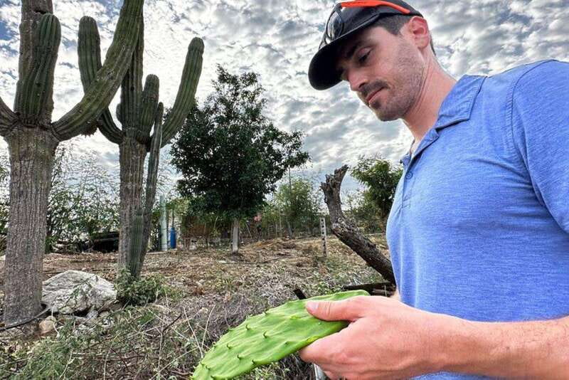 Los Cabos: Azteca Cactus Taco Farm to Table Cooking Class - The Beach Walk: Plants, Animals, and Ancient Survival