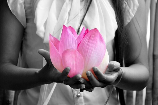Lotus Silk Farm: Discover Learn and Experiment the Lotus Flower - First stop: tea, introductions, and the lotus “why”