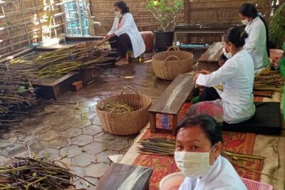 Lotus Silk Farm: Discover Learn and Experiment the Lotus Flower - The six lotus workshops: what you’ll actually make