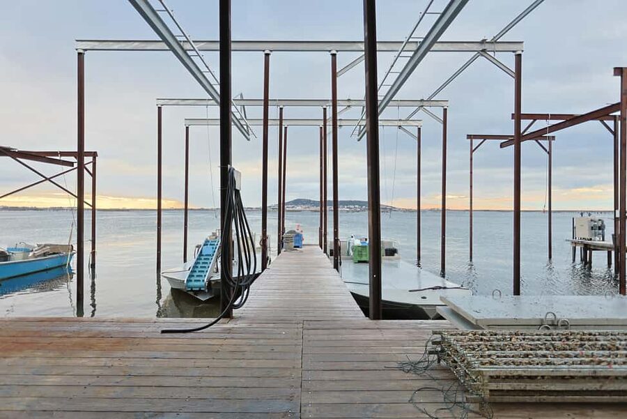 Loupian: Tour guide of our oyster farm and tasting - Oyster Farming in Loupian: What You Learn Beyond the Bite