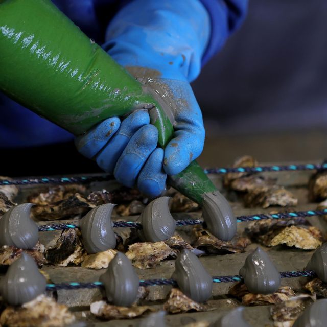 Loupian: Tour guide of our oyster farm and tasting - Practical Stuff to Know Before You Go