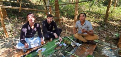 Luang Prabang: Bamboo Forest Cooking-class & Farm Visit - Foraging Edible and Medicinal Plants Like a Local