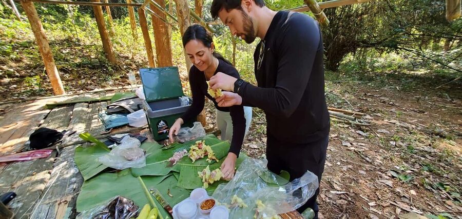 Luang Prabang: Bamboo Forest Cooking-class & Farm Visit - Price and Value: Is $100 Worth a 6-Hour Bamboo Day?