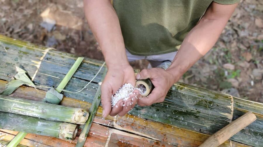 Luang Prabang: Bamboo Forest Cooking-class & Farm Visit - What to Bring for a Forest Day in Luang Prabang