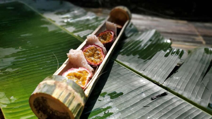 Luang Prabang: Bamboo Forest Cooking-class & Farm Visit - Who This Khmu Bamboo Cooking Class Suits Best