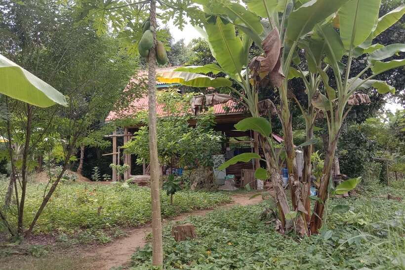 Luang Prabang: Organic Farm Experience & Hike to Kuang si - From Ban Pak Si farm to Kuang Si Falls, in one clean day
