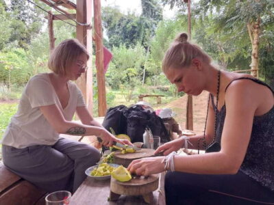 Luang Prabang: Organic Farm Experience & Hike to Kuang si - Tuk-tuk pickup and the drive out to the farm