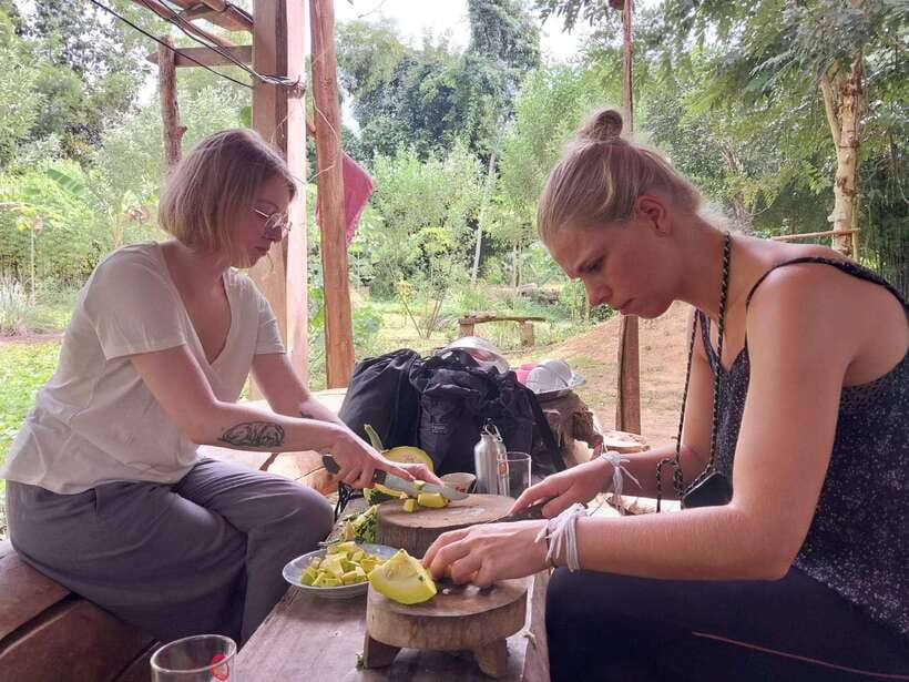 Luang Prabang: Organic Farm Experience & Hike to Kuang si - Tuk-tuk pickup and the drive out to the farm