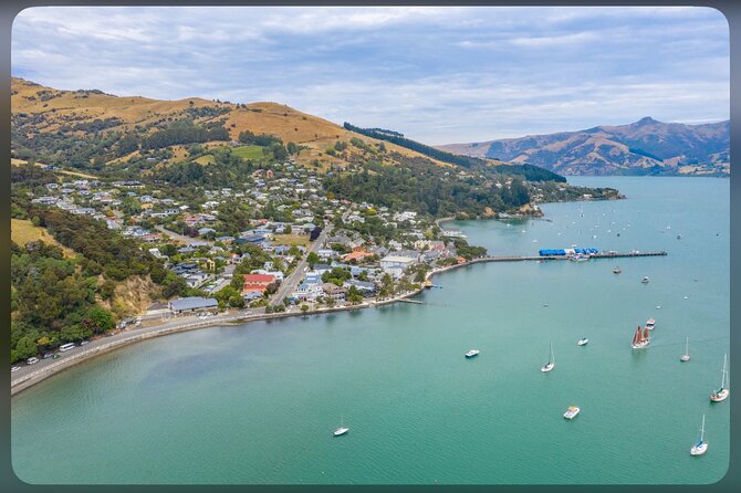 Lyttelton Cruise Excursions: Christchurch Sightseeing with Sheep Farm - Toby Hill Farm: sheep dogs, shearing, wool lessons, and farmer-hosted tea