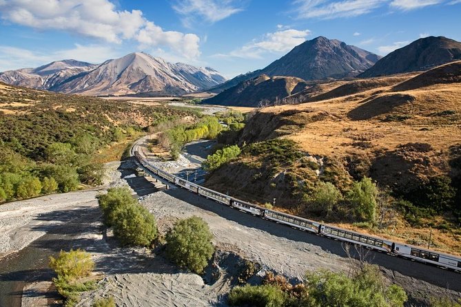 Lyttelton Cruise Excursions: Christchurch Sightseeing with Sheep Farm - The drive time reality check: scenic, but not instant