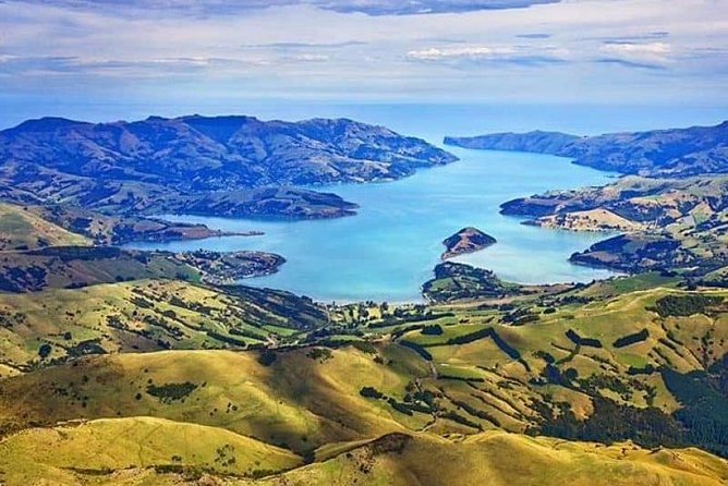 Lyttelton Cruise Excursions: Christchurch Sightseeing with Sheep Farm - Price and value: what $123.49 buys you on a cruise day