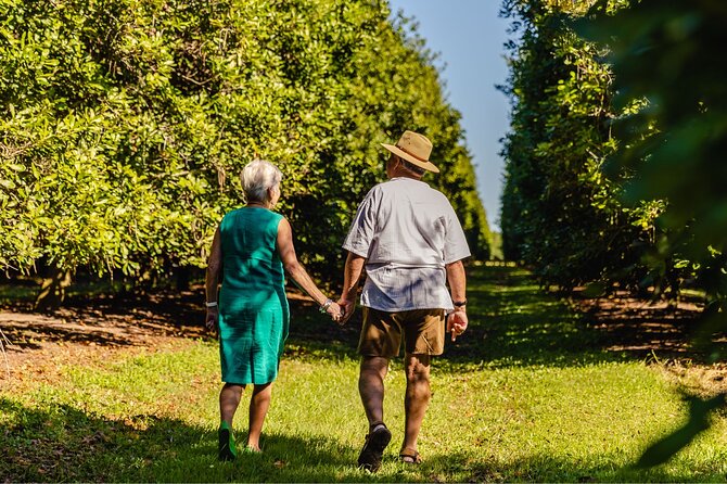 Macadamias Australia Orchard Tour in Bundaberg - Key highlights you’ll actually care about
