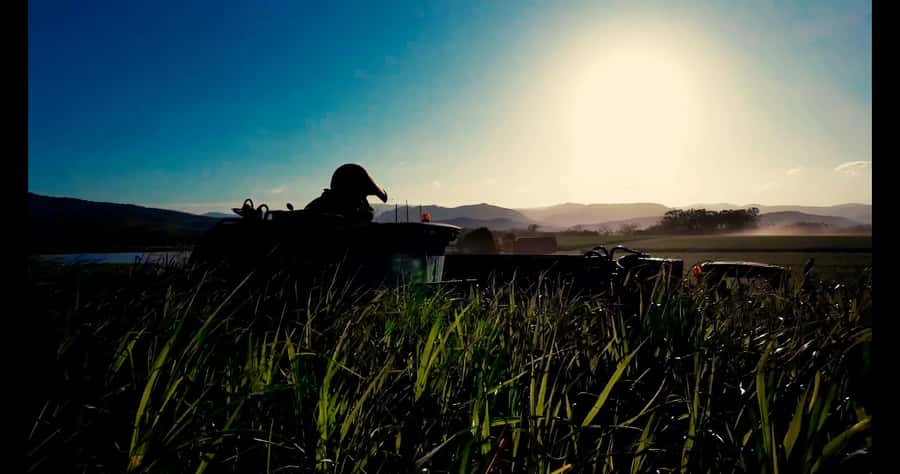 Mackay: 3 Hour Sugarcane Farm Tour - Price and value: what $48 buys you in Mackay