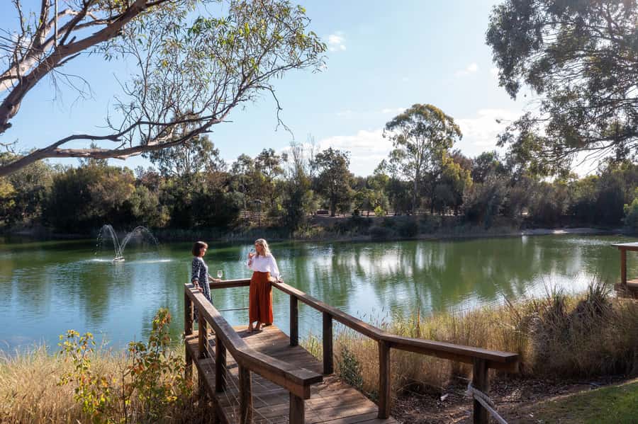Maggie Beer's Farm: Cooking Demonstration with Lunch & Wine - Wine tasting (or gin tasting): what the guided session feels like