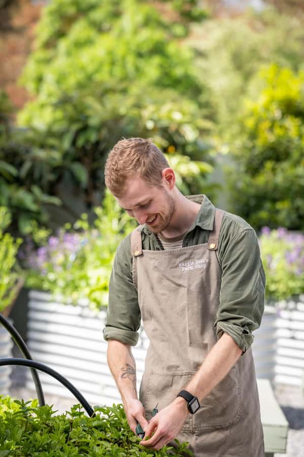 Maggie Beer's Farm Hands-on Cooking School and Lunch - Should you book Maggie Beers Farm Hands-on Cooking School and Lunch?