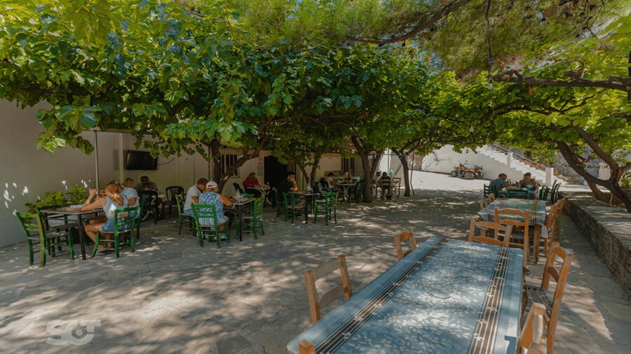 Makrigialos-Ierapetra: Hidden Villages & Olive Oil Farm Tour - The timing question: how the pace can affect your day