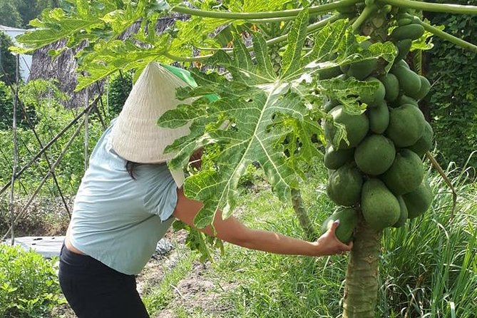 Market to Farm to Table Cooking Class in saigon - A Market-to-Farm-to-Table Day in Saigon (What You Actually Do)