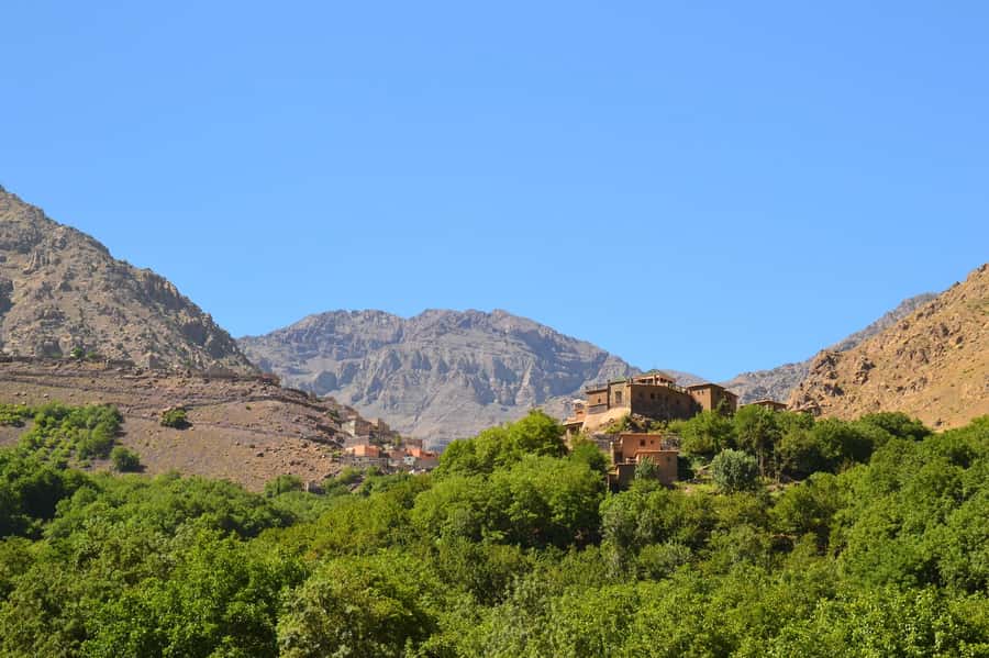 Marrakech: Anima Garden, Saffron Farm and Ourika Valley Trip - Who This Trip Suits (and Who Might Want to Rethink It)