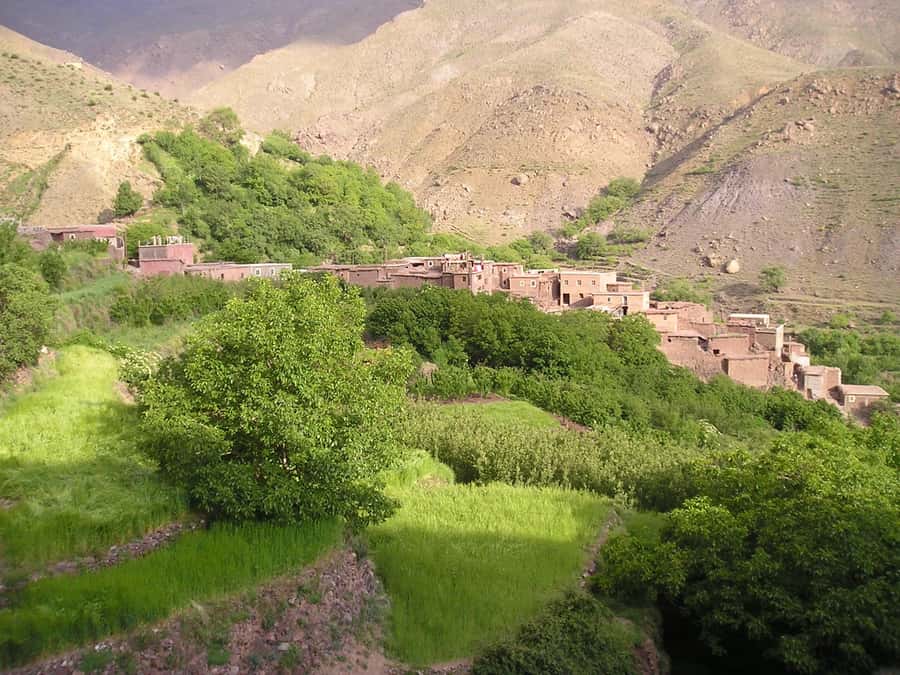 Marrakech: Anima Garden, Saffron Farm and Ourika Valley Trip - Who should book this trip (and who should skip it)