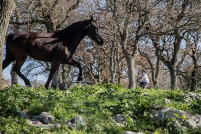 Martina Franca: E-bike farm tour & cheese tasting - Starting at Largo Via Michelangelo Semeraro and getting oriented fast