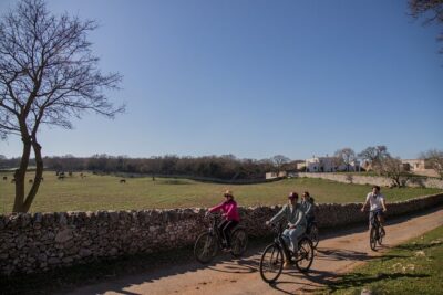 Martina Franca e-Bike tour . Visit a breeding and a dairy farm - Stop 1: Martina Franca countryside and a farm experience that feels hands-on