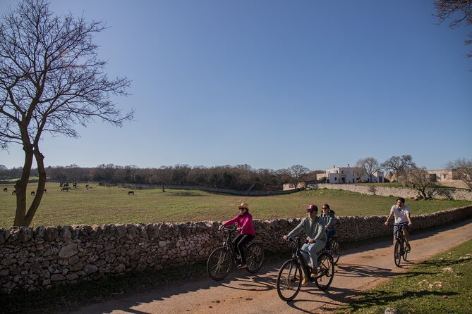 Martina Franca e-Bike tour . Visit a breeding and a dairy farm - Stop 1: Martina Franca countryside and a farm experience that feels hands-on