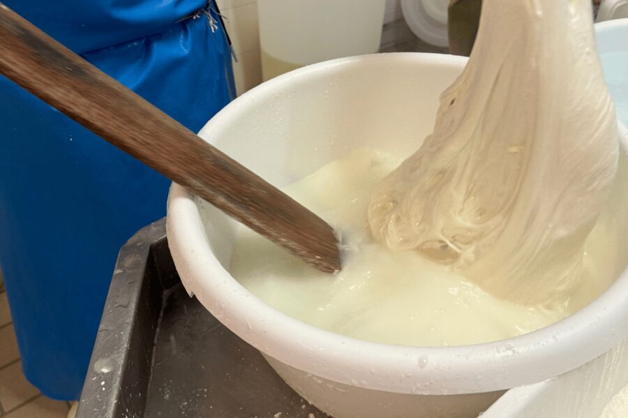 Martina Franca: Mozzarella and Pasta Workshop with Farm Tour - Key Things I Think You’ll Care About